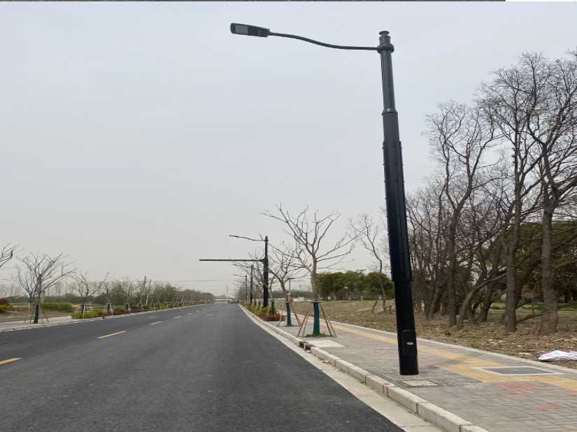 铁力市上海综合杆 太阳能路灯工程